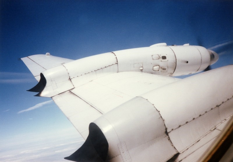 Images/DDR-STF_14.jpg